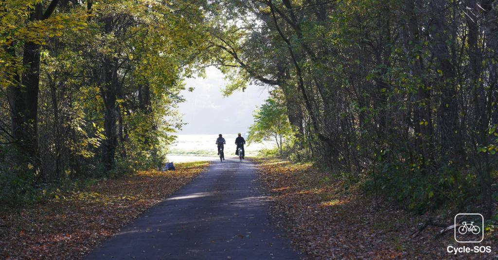 Two cyclilsts on a wooded path.