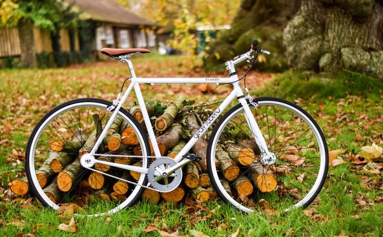  Preparing to Cycle this Autumn