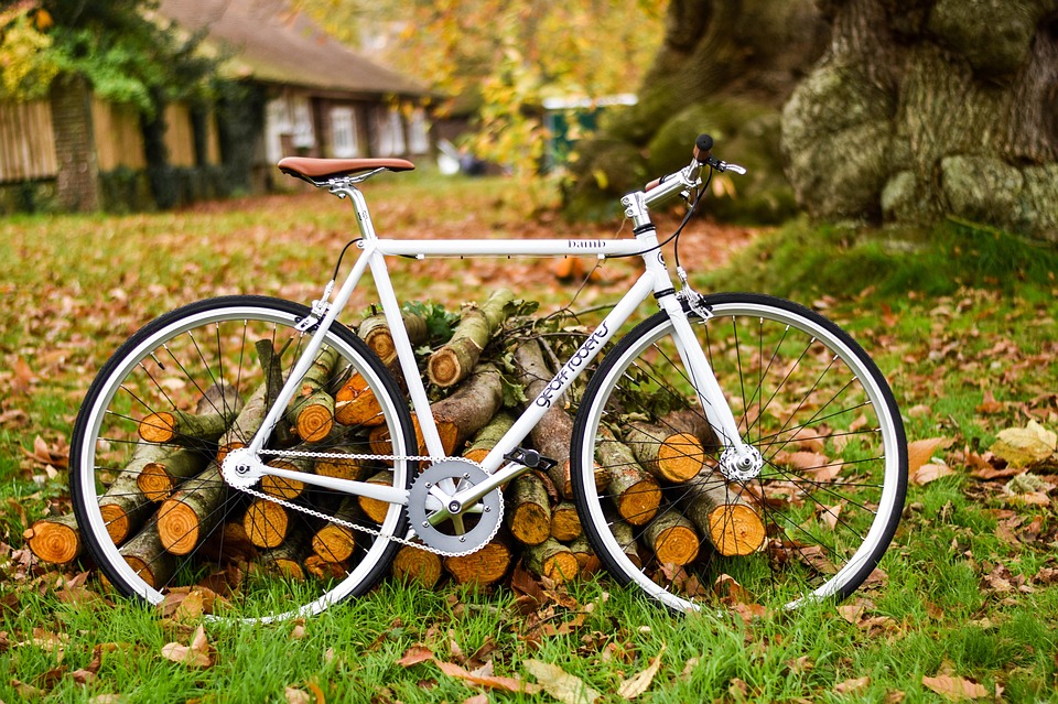 A bike leaning against some logs.