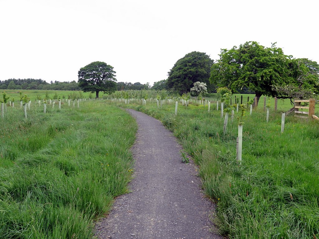 Dragon Cycle Trail ideal for kids