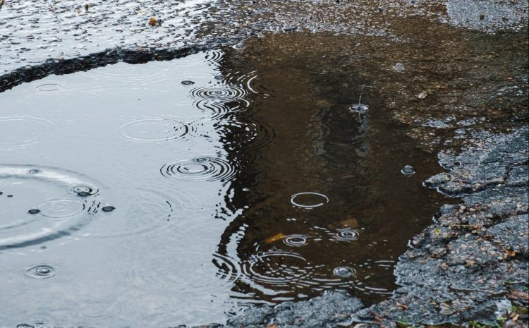  Highway defects: To report or not to report?