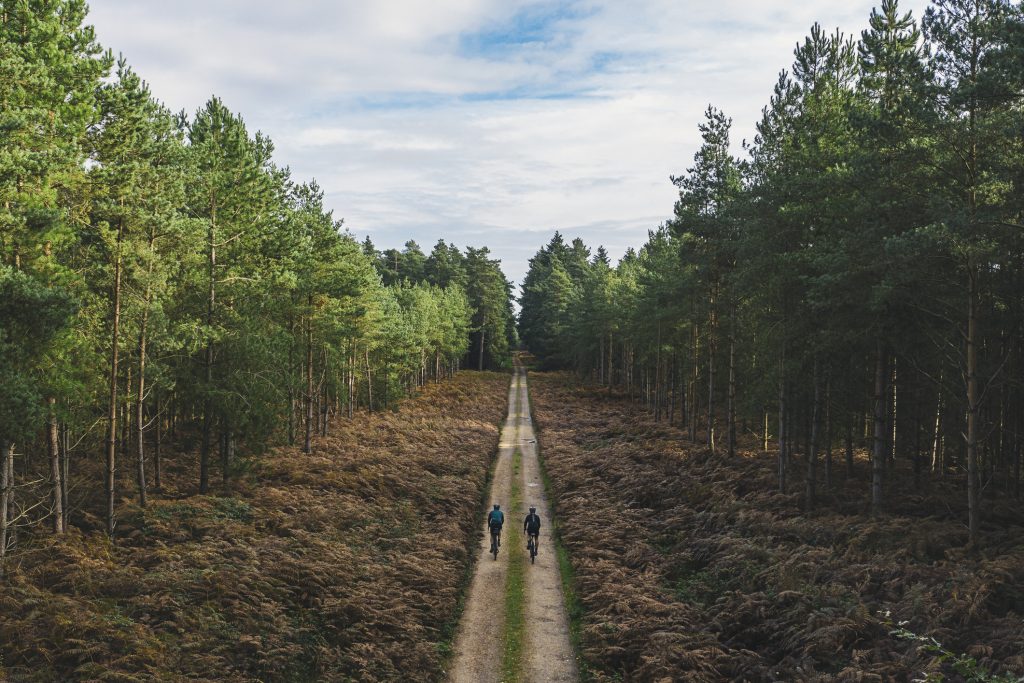 Cyclists on forest track.