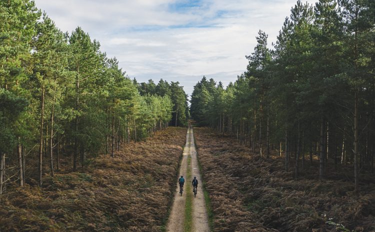  Flexible goal setting for New Year 2021