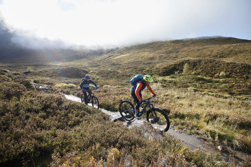 Two mountain bikers cycling along a mountain bike trail.