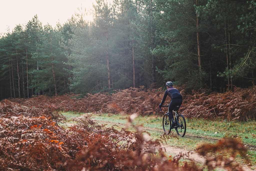 Cyclist on gravel bike in autumnal forest.