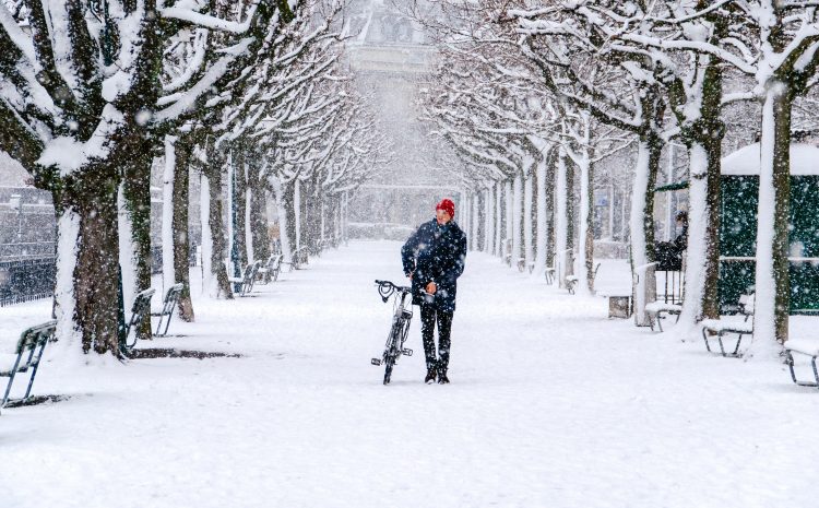  Wishing you a Merry Christmas and a Happy New Year from all at Cycle SOS